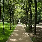 Palac Tlokinia
