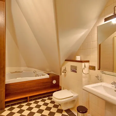 Palac Tlokinia 4* Kalisz